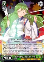 信仰は儚き人間の為に 早苗