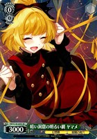 暗い洞窟の明るい網 ヤマメ