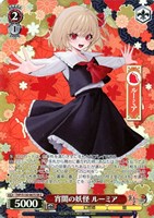 宵闇の妖怪 ルーミア