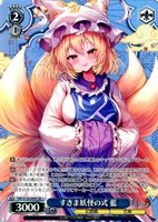 すきま妖怪の式 藍