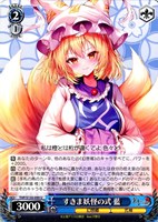 すきま妖怪の式 藍