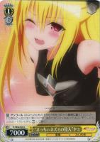 大人も着やすいシンプルファッション 美品】ヴァイス