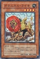 Amazon.co.jp: 遊戯王カード 24TP-JP203 魔轟神ルリー