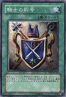 【遊戯王】ノーマル◇騎士の称号