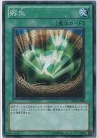 【遊戯王】ノーマル◇孵化