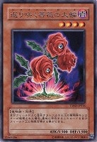 【遊戯王】レア◇返り咲く薔薇の大輪