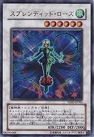 遊戯王 EU版 星態龍 星態龍 価格相場(値段)・最安値(遊戯王) | トレカネット