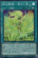 滅びの黒魔術師 滅びの黒魔術師【遊戯王トレカお買得価格通販：トレコロ】