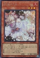 滅びの黒魔術師【遊戯王トレカお買得価格通販：トレコロ】