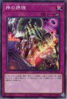 【遊戯王】ノーマルパラレル◇神の摂理