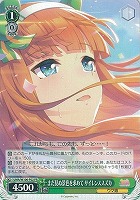 ヴァイス　ウマ娘　サイレンススズカ　psa10 まだ見ぬ景色を求めて　箔押し　P backend=imagemagick;version=1;