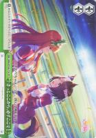 【ヴァイス】ＴＤ◇きっとここから、必ずここで