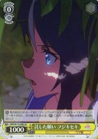 【ヴァイス】SR◇託した願い フジキセキ