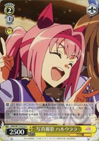 【ヴァイス】U◇写真撮影 ハルウララ