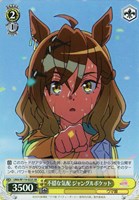 【ヴァイス】SR◇不穏な気配 ジャングルポケット