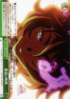 【ヴァイス】CR◇覇道の軌跡