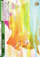 【ヴァイス】CR◇残光の輝き
