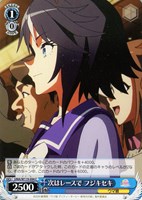 【ヴァイス】C◇次はレースで フジキセキ