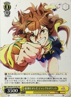 カードを買う/ヴァイスシュヴァルツ/2024年度作品/劇場版『ウマ
