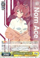 “カサマツトレセン学園”ノルンエース