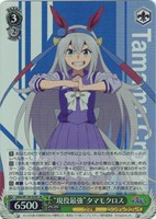 “現役最強”タマモクロス