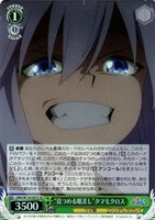 “見つめる眼差し”タマモクロス