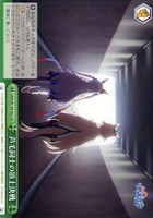 芦毛同士の頂上決戦