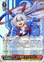 “白い稲妻”タマモクロス