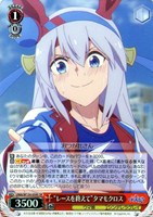 “レースを終えて”タマモクロス