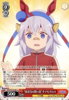 “幼き日の思い出”タマモクロス