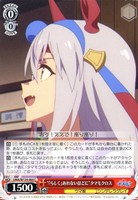 “『らしく』あれないほどに”タマモクロス