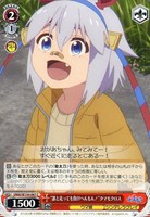 “誰と走っても負けへんもん！”タマモクロス