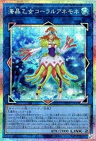 海晶乙女コーラルアネモネ