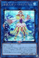 海晶乙女コーラルアネモネ