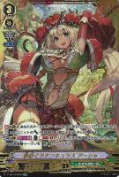 【ヴァンガード】ＳＶＲ◇夢紡ぐラナンキュラス　アーシャ