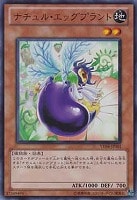 PSA10 ＺＷ 獣王獅子武装 １枚 レリーフ ZJBC 遊戯王 CBLZ Amazon.co.jp: 遊戯王 CBLZ-JP047-UR 《ZW－獣王獅子武装