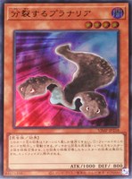 【遊戯王】ウルトラレア◇分裂するプラナリア