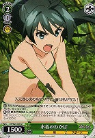 【ヴァイス】U◇水着のわかば