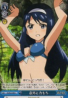 【ヴァイス】C◇意外と力もち