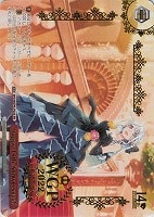 WS/PR/2020年も頑張ろう! 愛美 2020年も頑張ろう！愛美【ヴァイスシュヴァルツトレカ高価