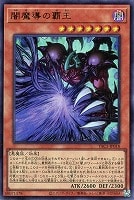闇魔導の覇王