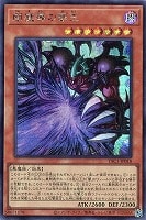 闇魔導の覇王