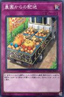 【遊戯王】ノーマルレア◇農園からの配送