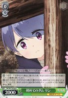 【ヴァイス】C◇初めてのダム リン