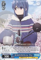【ヴァイス】C◇久々のソロキャン リン