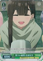 [激安]ヴァイス ゆるキャン　RR.Rまとめ売り ゆるキャン/ヴァイス】まとめ売り！