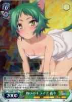 【ヴァイス】R◇熱いのキライ!夜々
