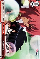 【ヴァイス】CC◇微熱の誘惑