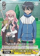 【ヴァイス】TD◇“ゼロの使い魔”サイト