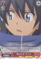 【ヴァイス】C)ノーマル仕様◇“神の左手”サイト